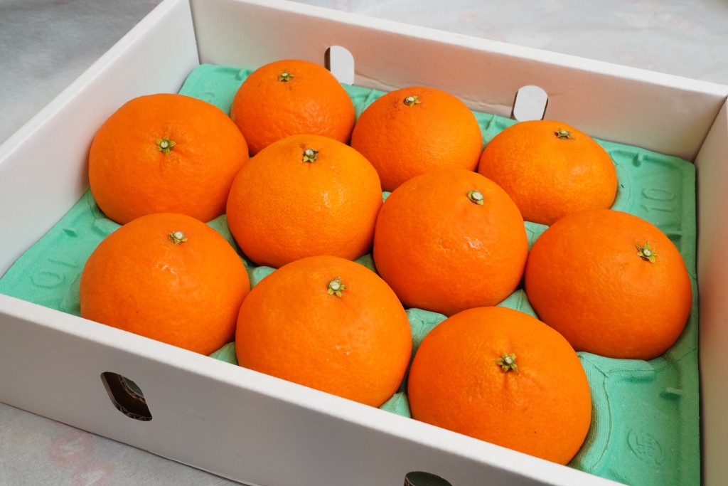 愛媛麥當娜（MADONNA）果凍橙味道甜美，不帶酸味，非常清香解膩。  